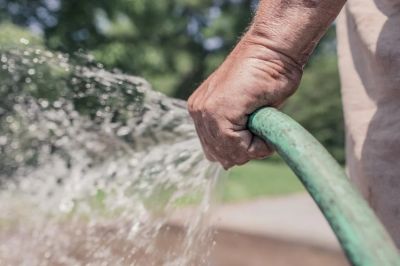 Widmo suszy w UK: Kolejne przedsiębiorstwo wodociągowe zabrania podlewania ogródków i mycia samochodów